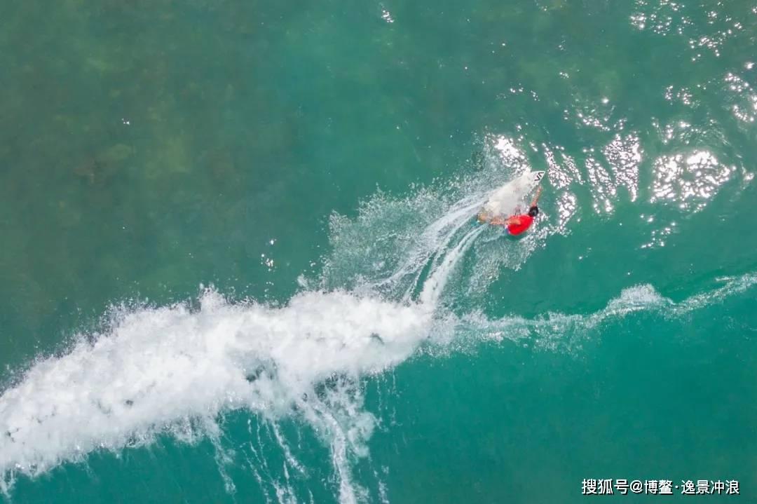 除虫大师