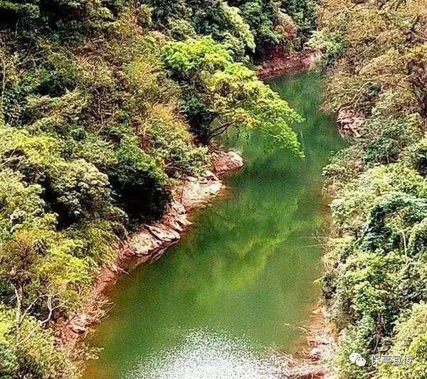 跳跃的木偶